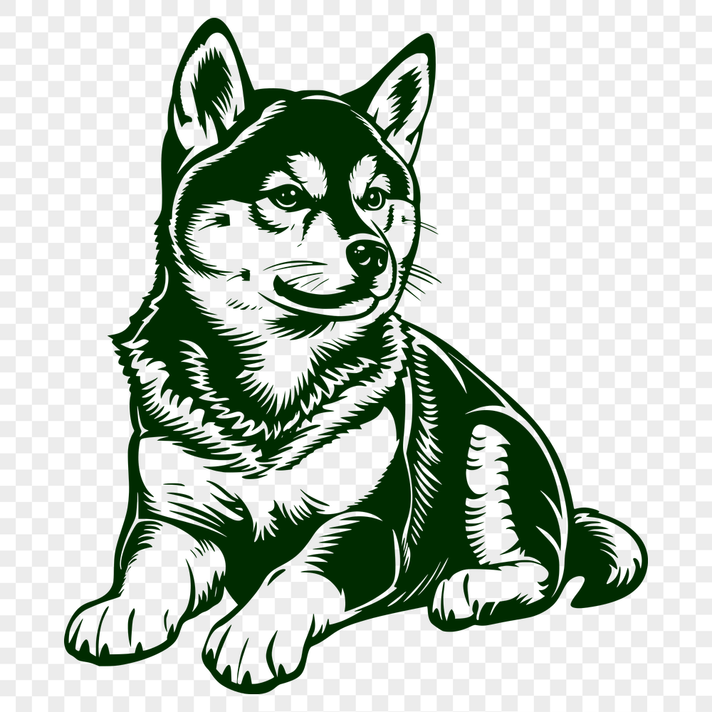 Free Stunning Shiba Inu Image