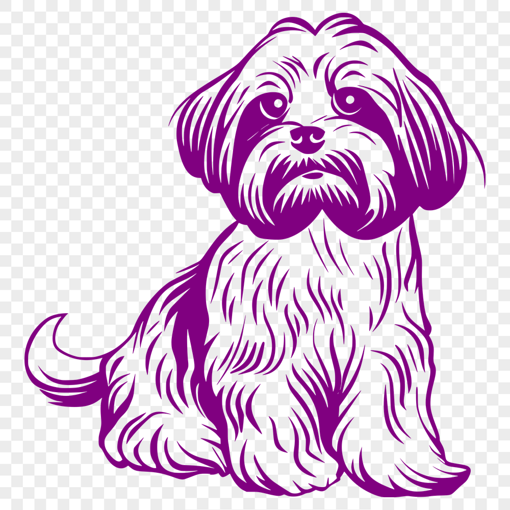 Stunning Sitting Shih Tzu PNG