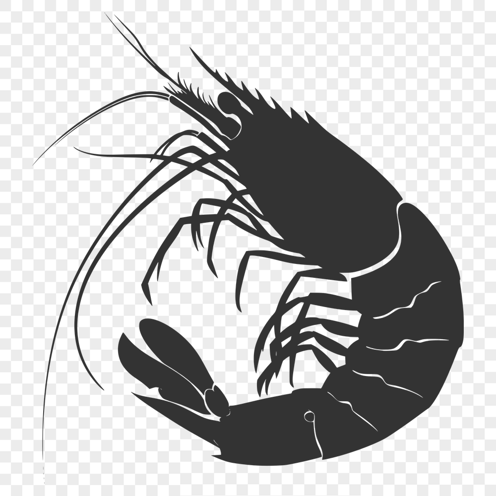 Free Creative Prawn Printable Artwork