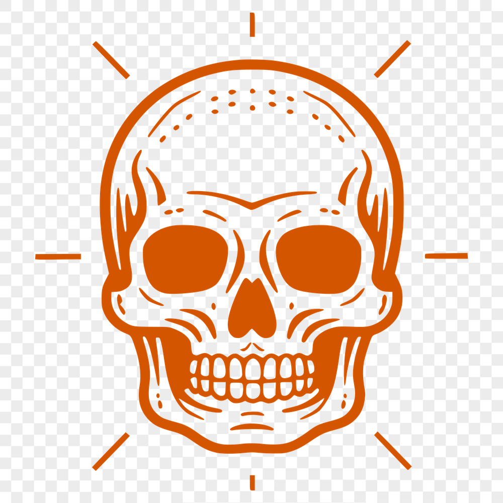 Unique Skull Vector Illustration