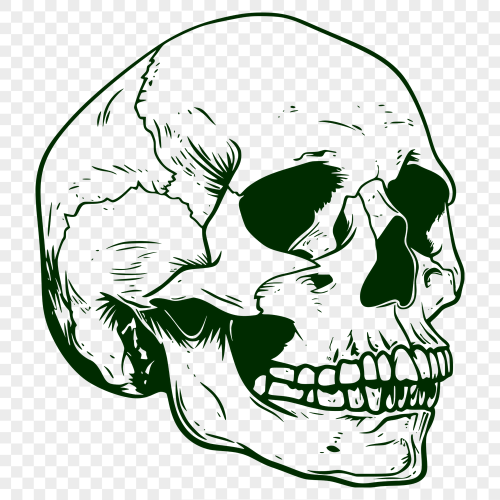 Unique Skull - For Halloween Project