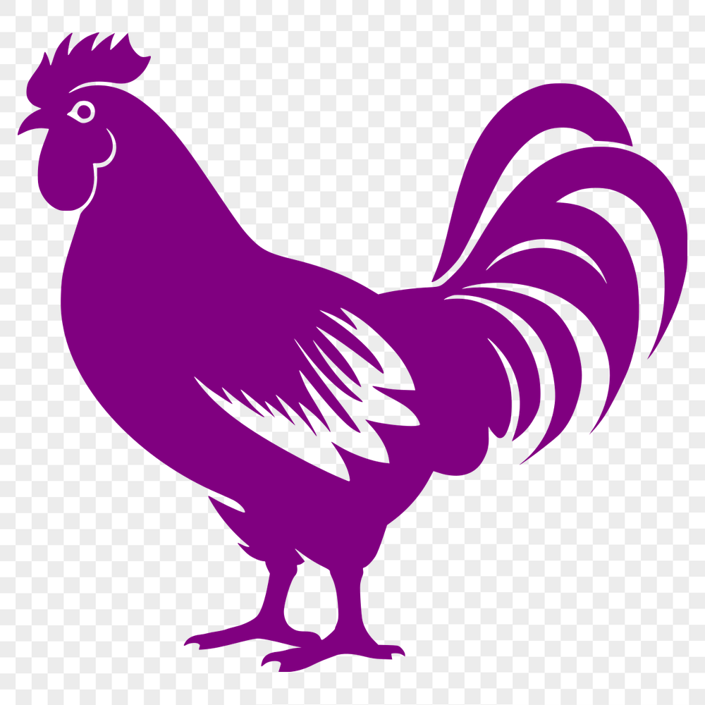 Free Beautiful Chicken Vector Drawing