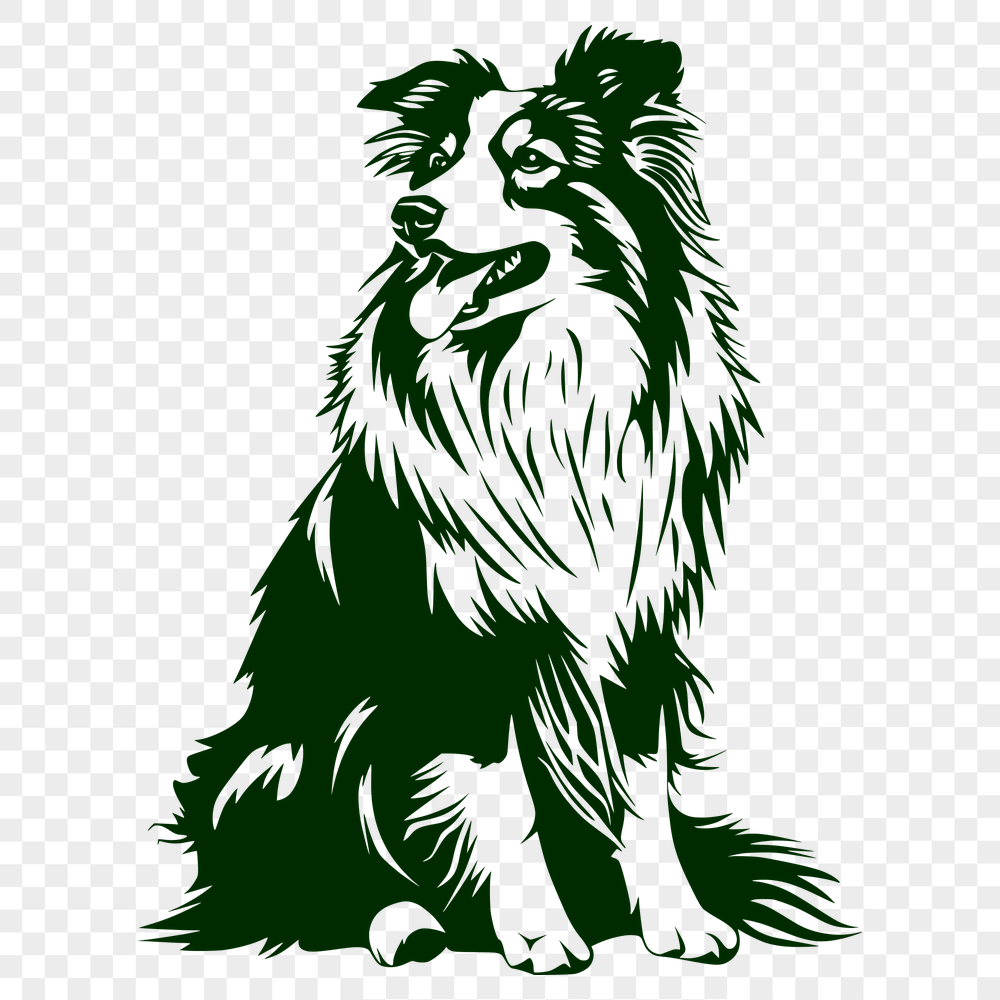 Creative Sitting Shetland Sheepdog Printable Image