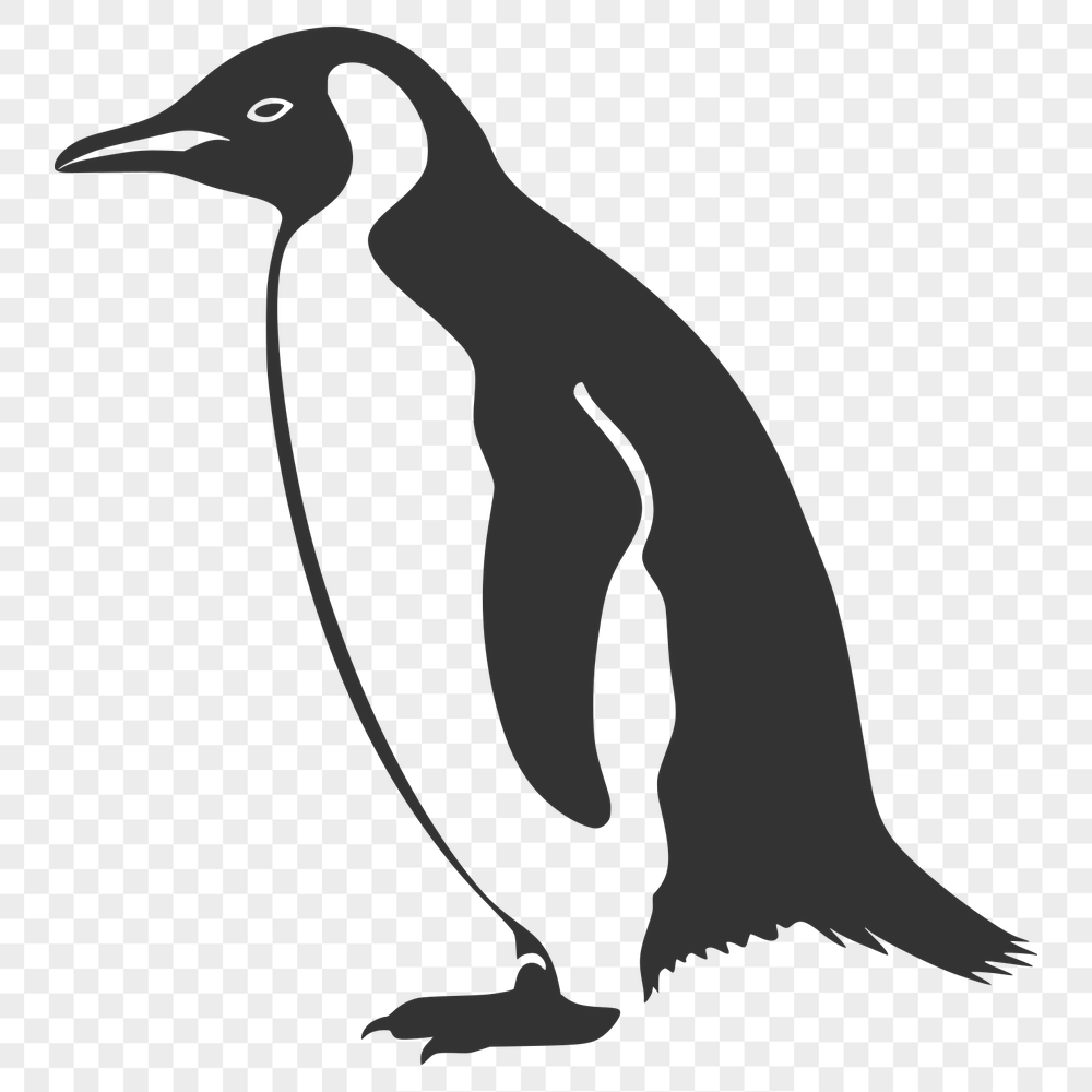 Free Beautiful Penguin Vector Art