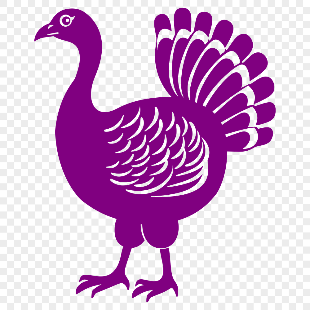 Unique Turkey Decal