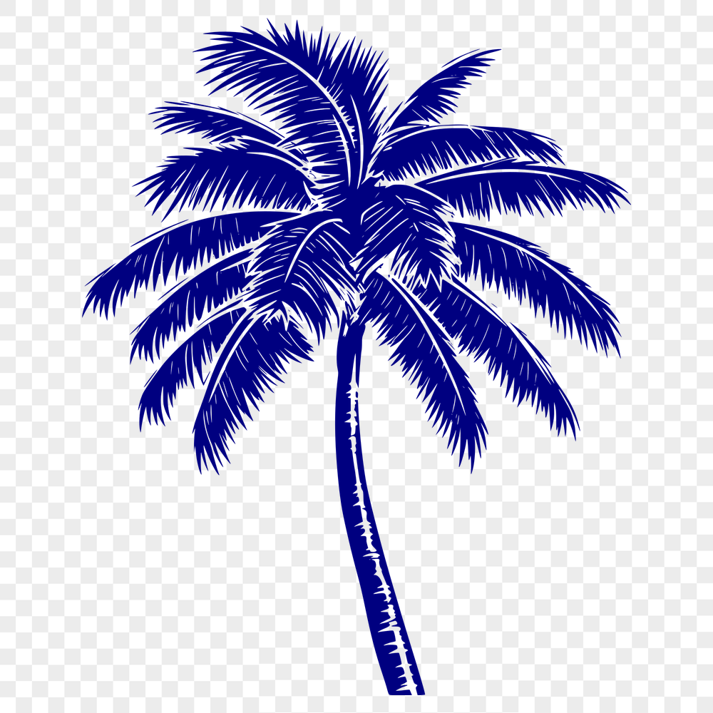 Beautiful Palm Tree Stencil - Free PNG