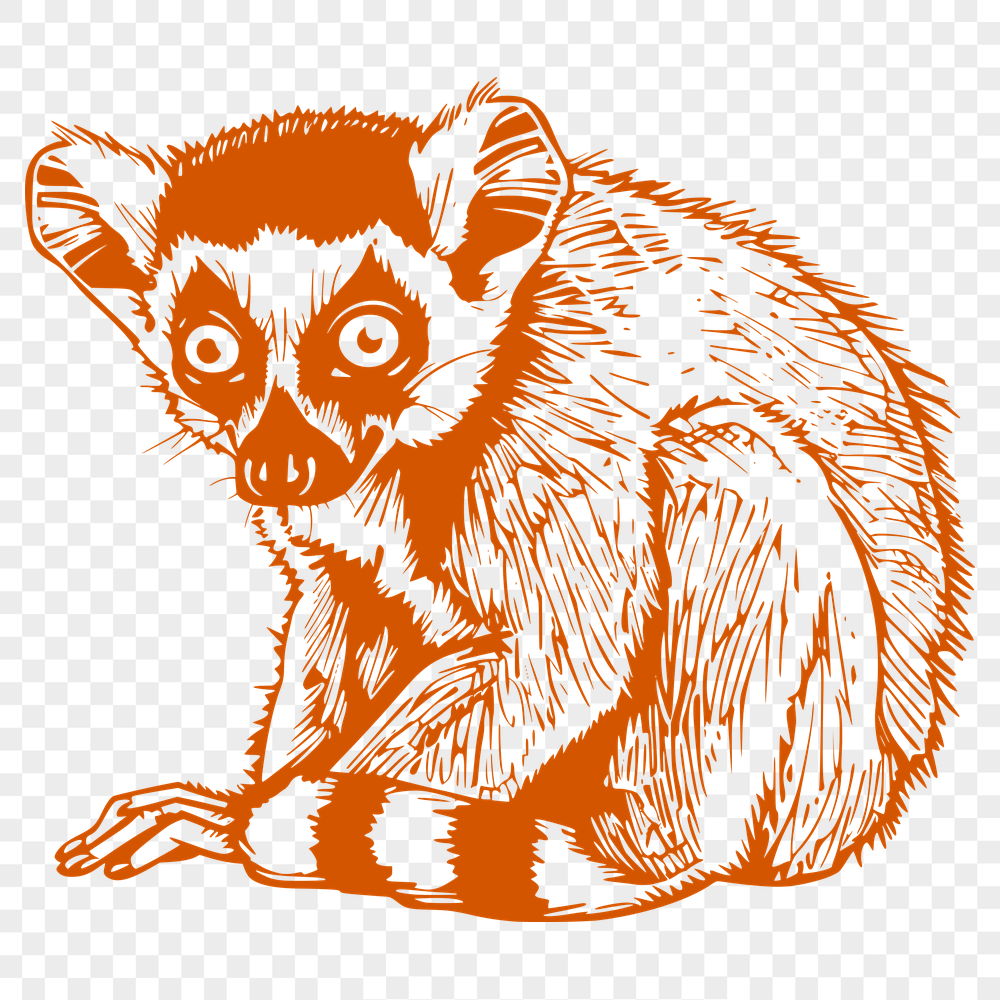 Stunning Lemur Printable Image