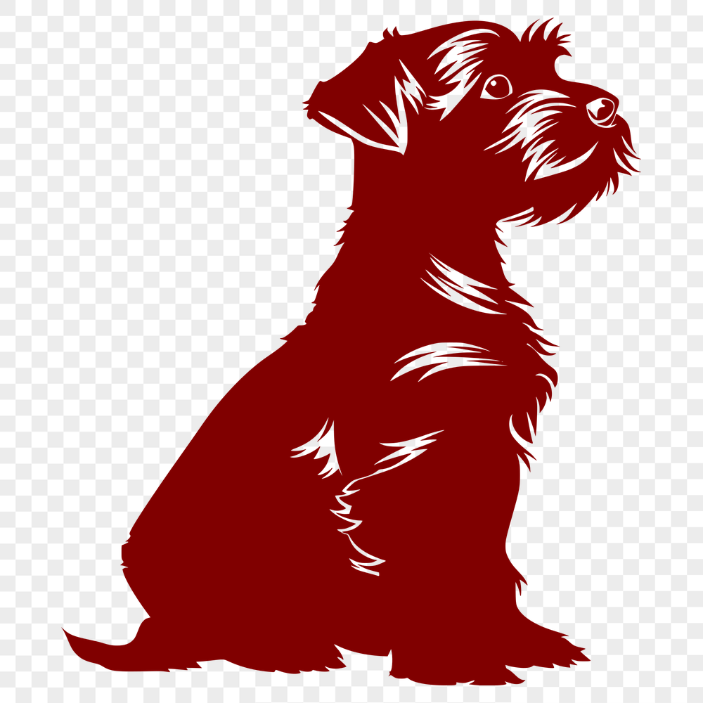 Stunning Miniature Schnauzer Vector Craft File