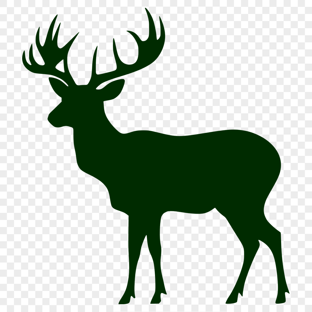 Free Deer Stencil