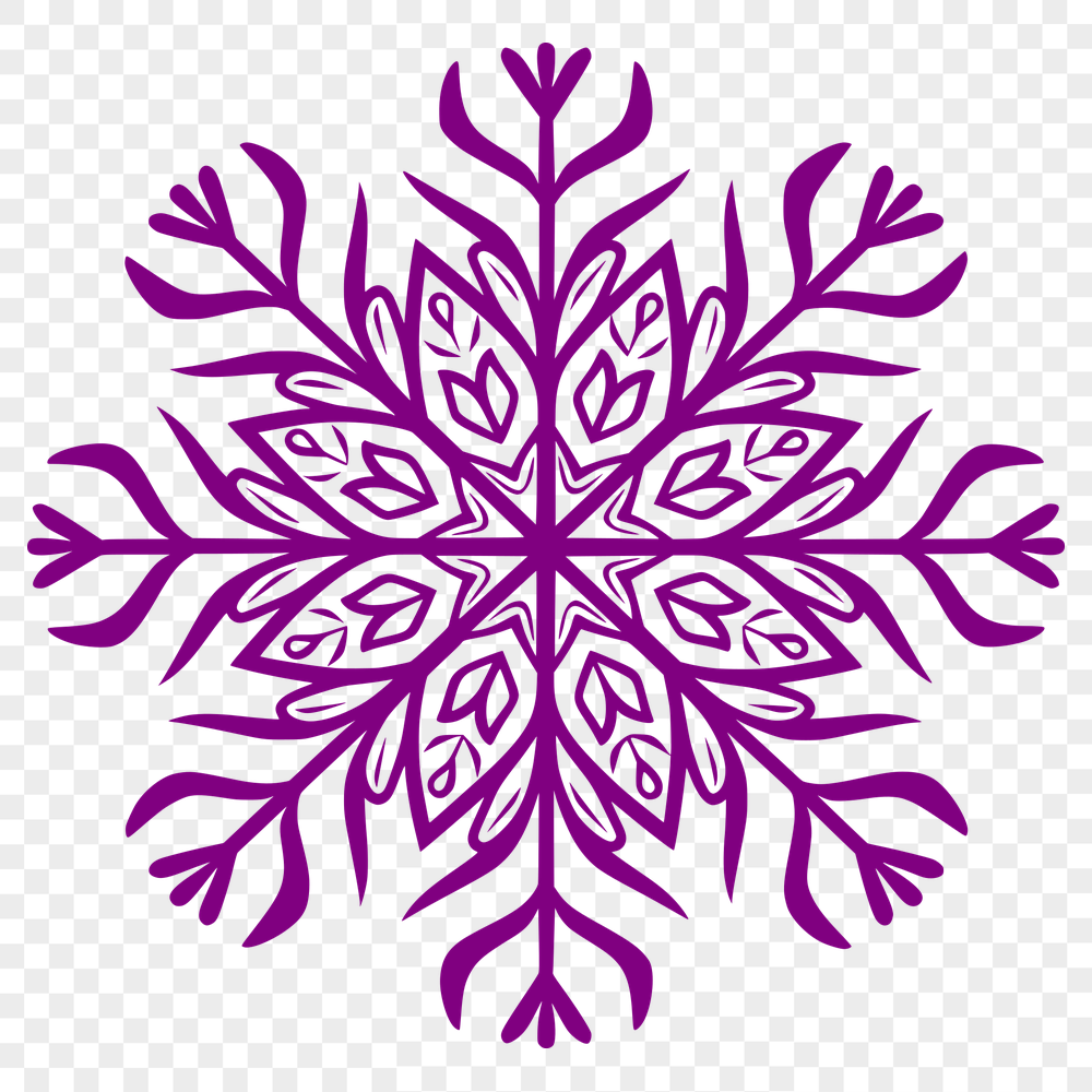 Beautiful Snowflake In PNG