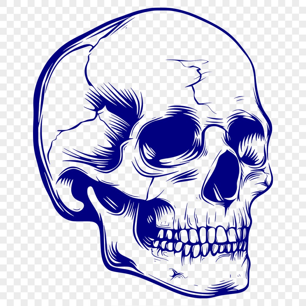 Free Stunning Skull Printable Image