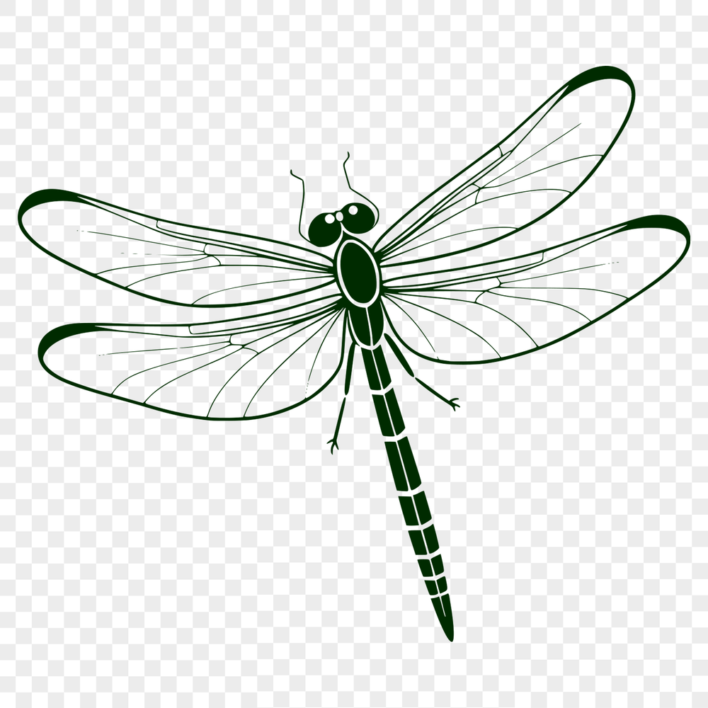 Detailed Dragonfly SVG Design An SVG file containing the design of a dragonfly with intricate details and fine lines.