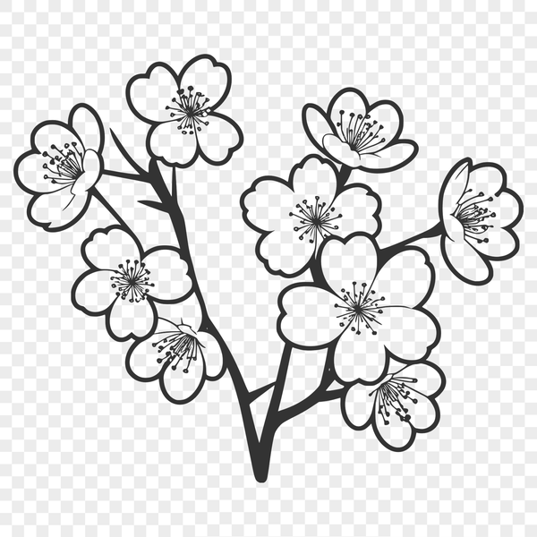 Pink Cherry Blossom Branch A single blooming cherry blossom tree branch with pink flowers against a white background.