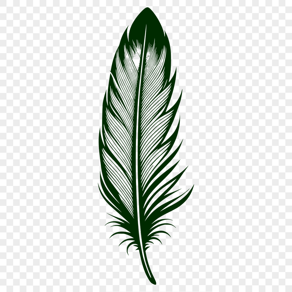 Single Feather Design Element A detailed design element featuring a single feather as a scalable graphic.