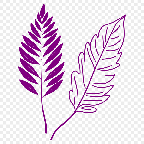 Green Leaf Illustration with Veins An illustration of a single green leaf with veins and edges.