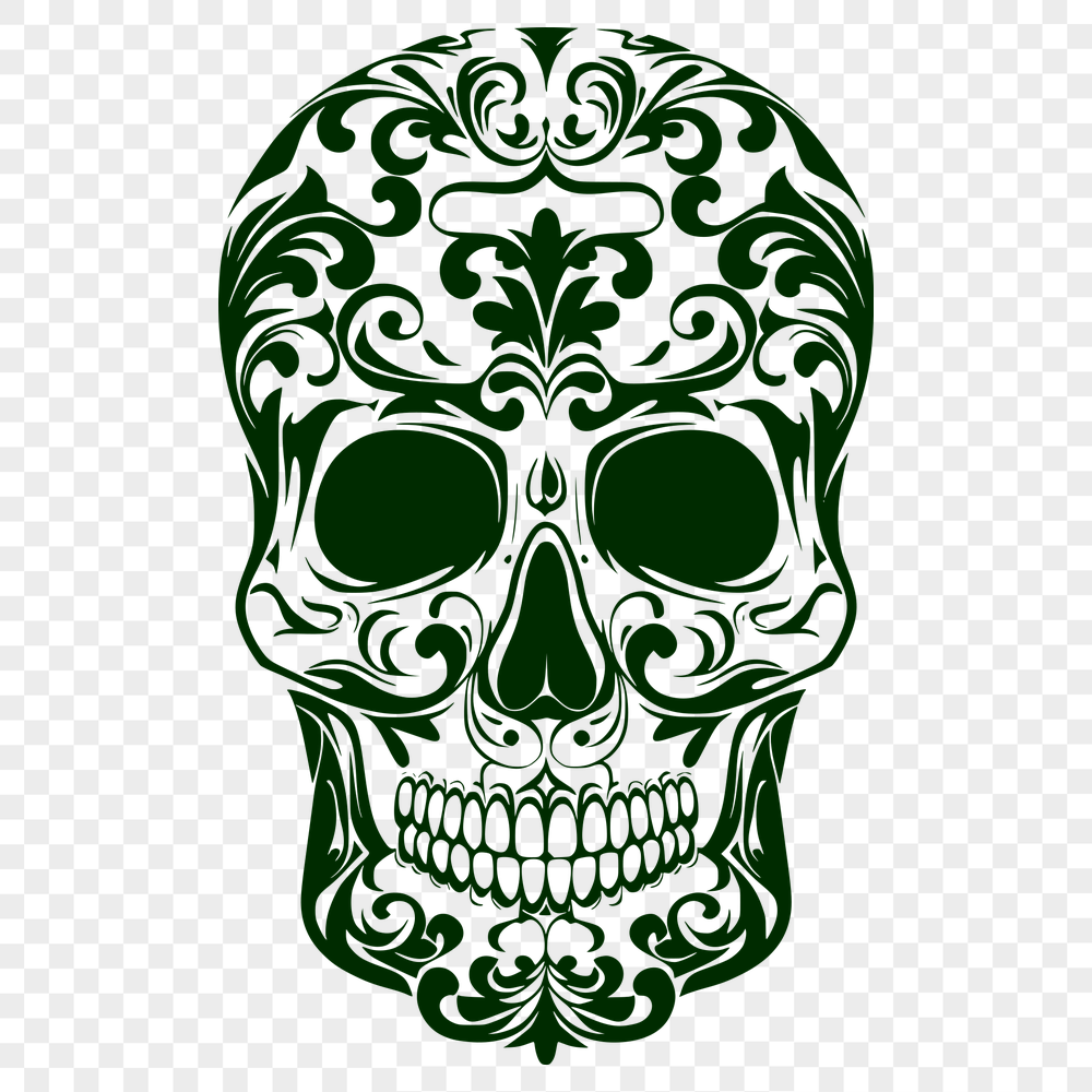 Ornate Skull Drawing