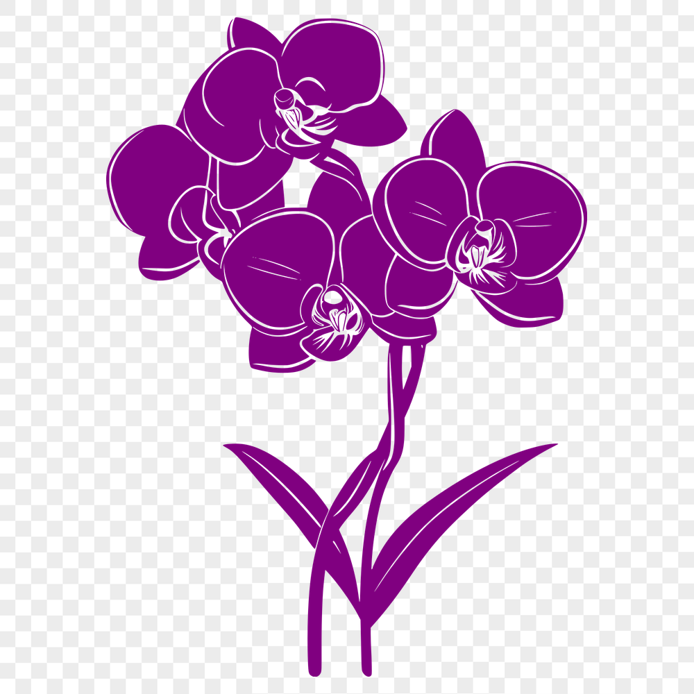 Unique Orchid Clip Art DXF - Free Download