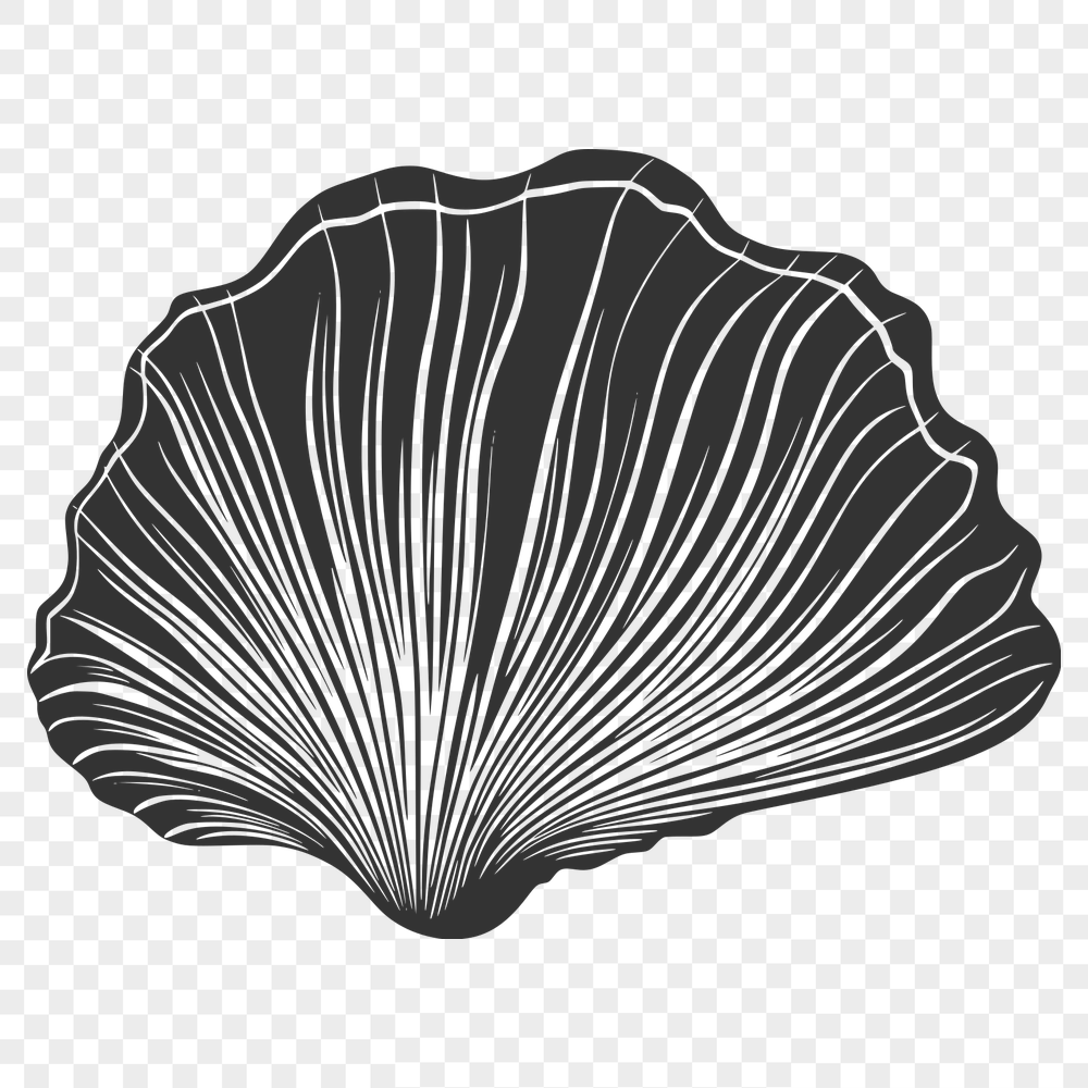 Artistic Seashell SVG - Free Commercial Use Download