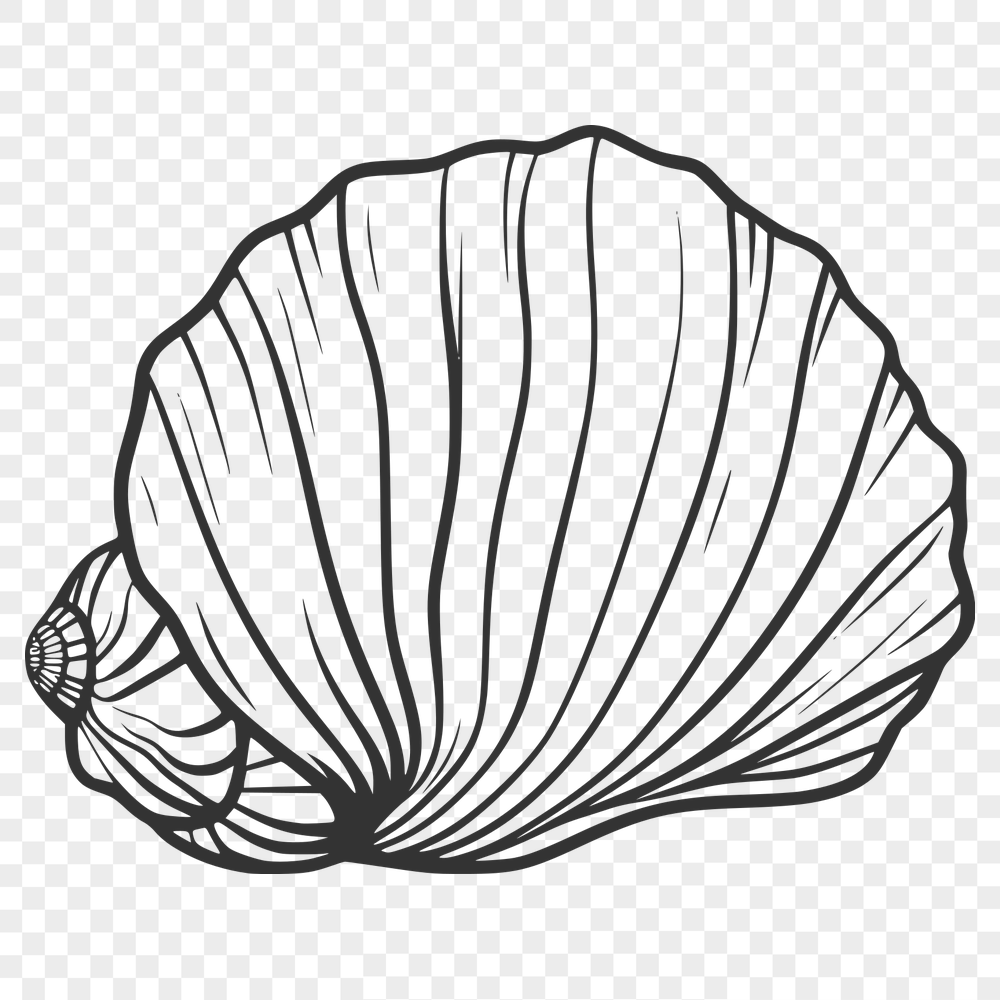 Free Unique Seashell Illustration DXF - Commercial Use