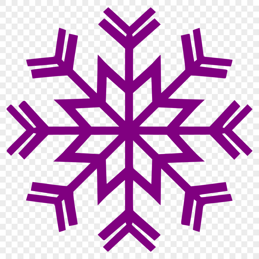 Unique Snowflake - Procreate SVG