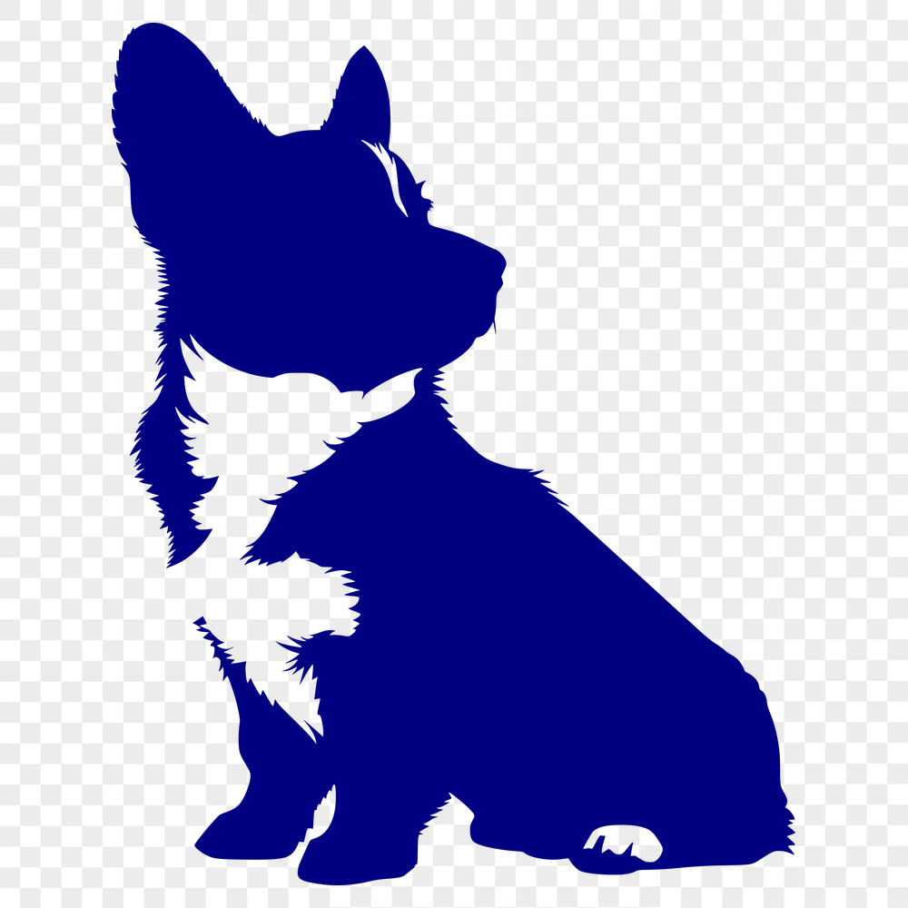 Stunning Sitting Welsh Corgi PNG