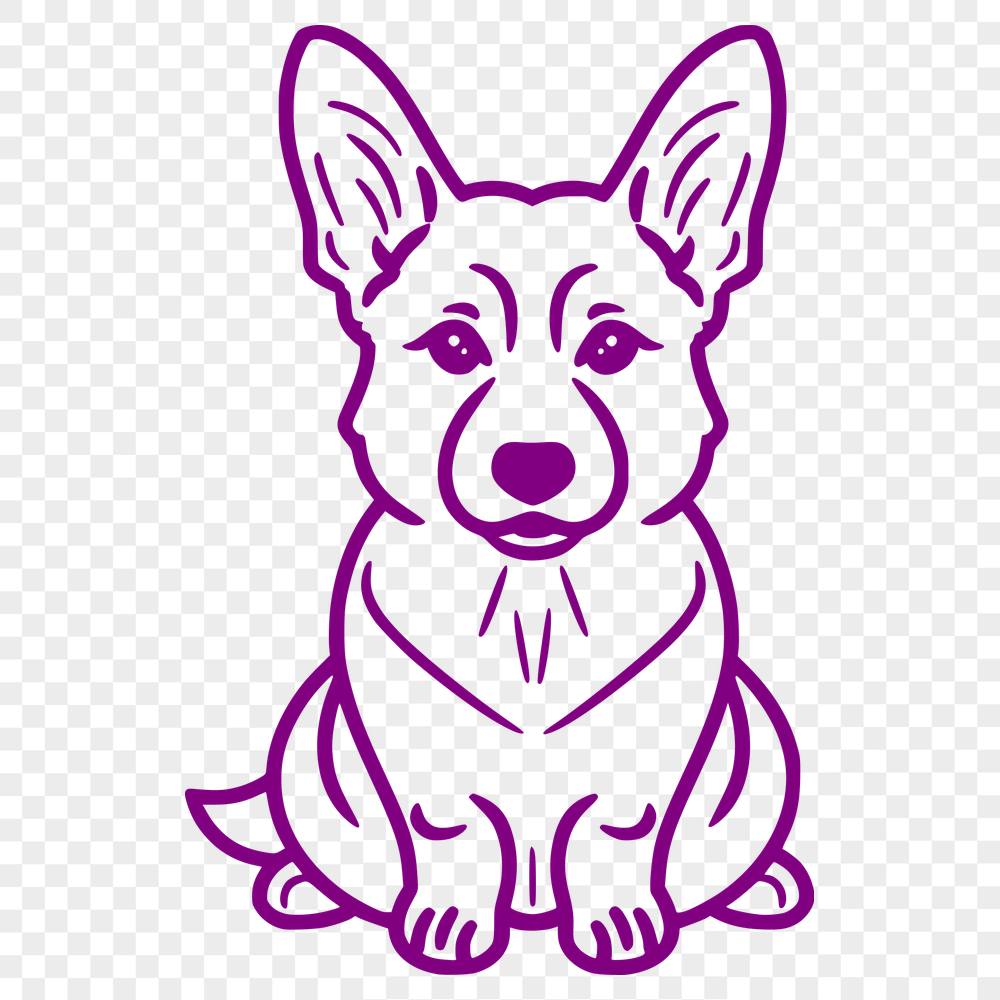 Stunning Welsh Corgi Drawing