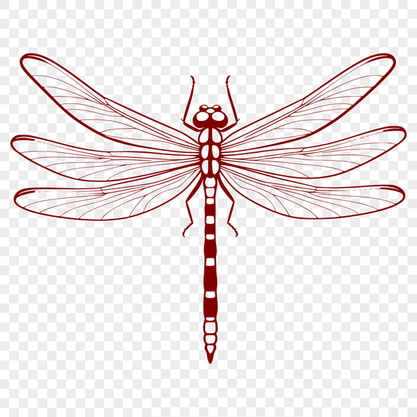 Iridescent Wings SVG Design A colorful illustration of a dragonfly with iridescent wings, ideal for vector design projects.