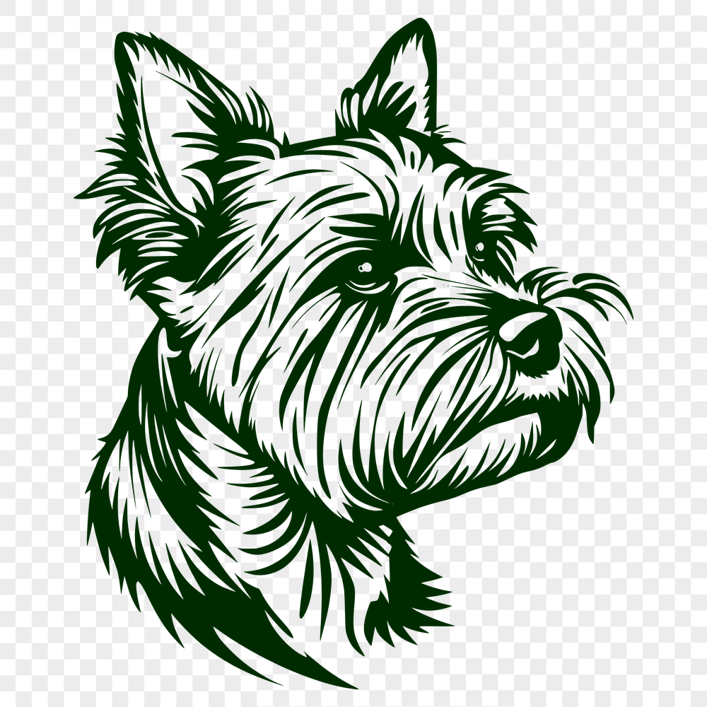 Creative Yorkshire Terrier Digital Drawing