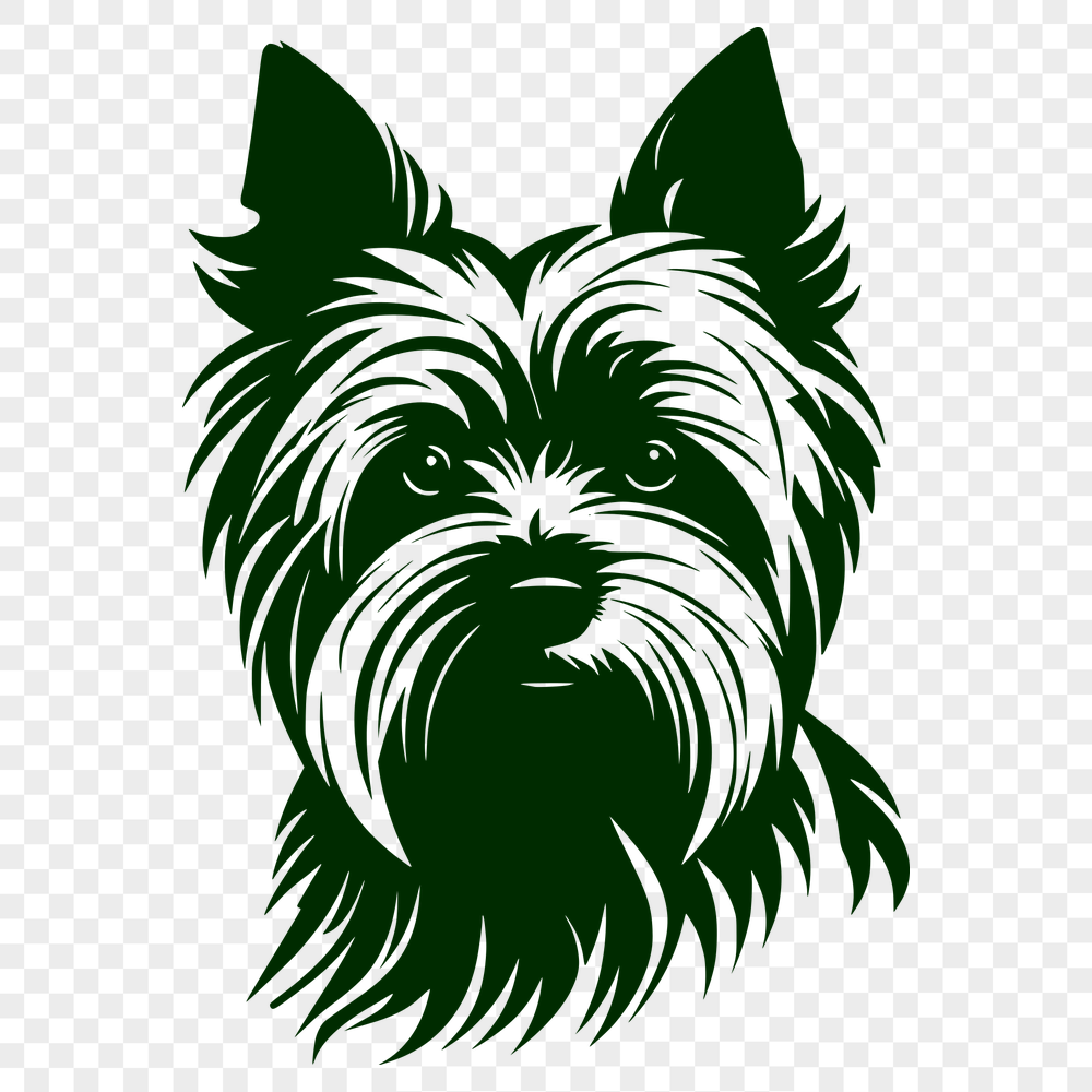 Free Stunning Yorkshire Terrier Vector Illustration