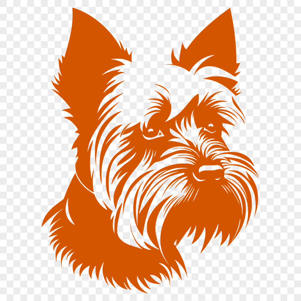 Beautiful Yorkshire Terrier Digital Artwork