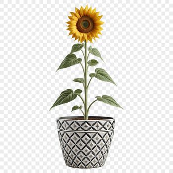 A large, high-resolution image of a bright yellow sunflower with dark centers, against a transparent background.