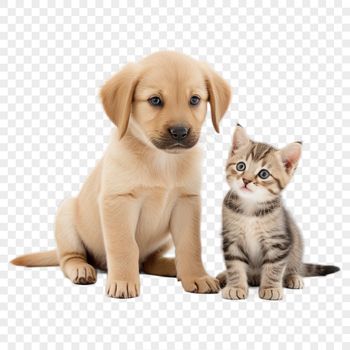 An illustration of a playful puppy and kitten side by side in high resolution PNG format.