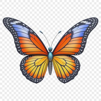 A colorful insect with iridescent wings, perched on a clear background.