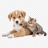 Illustrative design featuring a smiling puppy and kitten side by side in high resolution PNG format.
