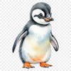 Adorable Penguin in Winter Wonderland A cute baby penguin standing on a snowy ground.