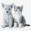 A transparent PNG image featuring a cute puppy and kitten together, suitable for various creative projects.