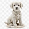 A clear and detailed illustration of a young dog in a simple composition.