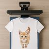 Transparent Cat Design for Sublimation A cute, small domestic cat with a clear background and transparent pixels.