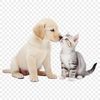Colorful illustration of a puppy and kitten playing together on a transparent background.