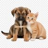 Adorable puppy and kitten duo on a transparent background suitable for print.