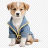 A small, cute puppy with a transparent background, suitable for commercial use and high-resolution printing.
