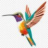 A high-resolution image of a hummingbird with a clear transparent background.