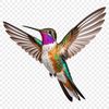 A close-up image of a hummingbird in flight, showcasing its iridescent feathers.