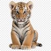A large, high-resolution image of a tiger with a clear background, suitable for print-quality use.