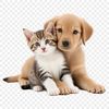 A cute puppy and kitten sitting together on a clear background.