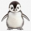 A young penguin chick stands on the ice, its fluffy feathers visible in high resolution.