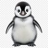 Fluffy Penguin Chick in Snowy Landscape A small penguin chick with fluffy feathers stands on snow, looking curiously to the side.