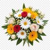 A bouquet of flowers with a clear transparent background in high resolution.