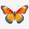 Beautiful Transparent Wings A colorful, high-resolution butterfly illustration with a transparent background.
