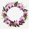 Beautiful Wreath PNG Design A decorative floral wreath with a clear background, suitable for sublimation printing or digital art projects.